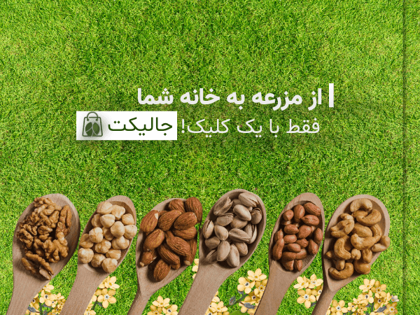 jaliket banner